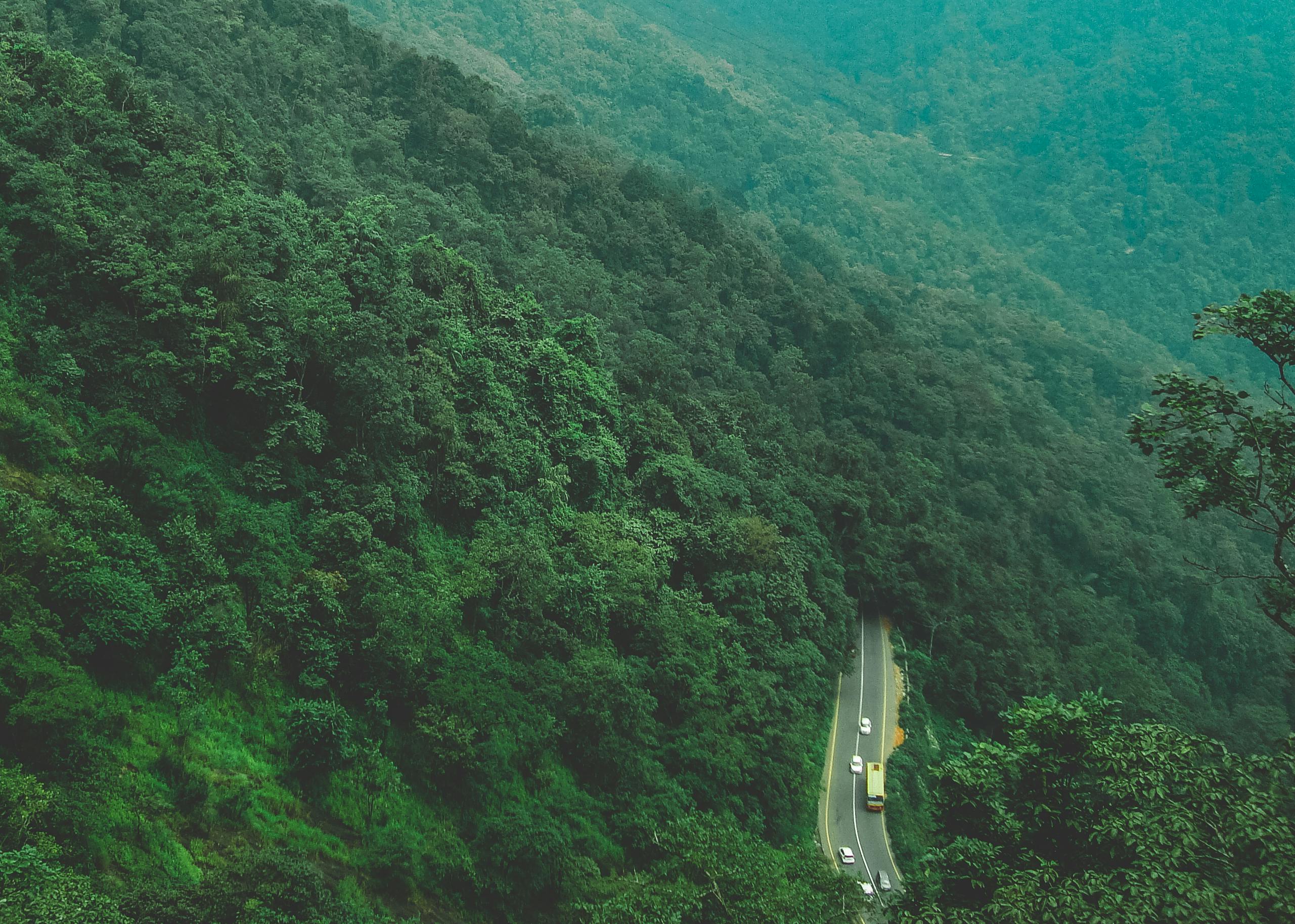 A mesmerizing aerial shot of a winding road cutting through a dense, lush green forest during daytime.