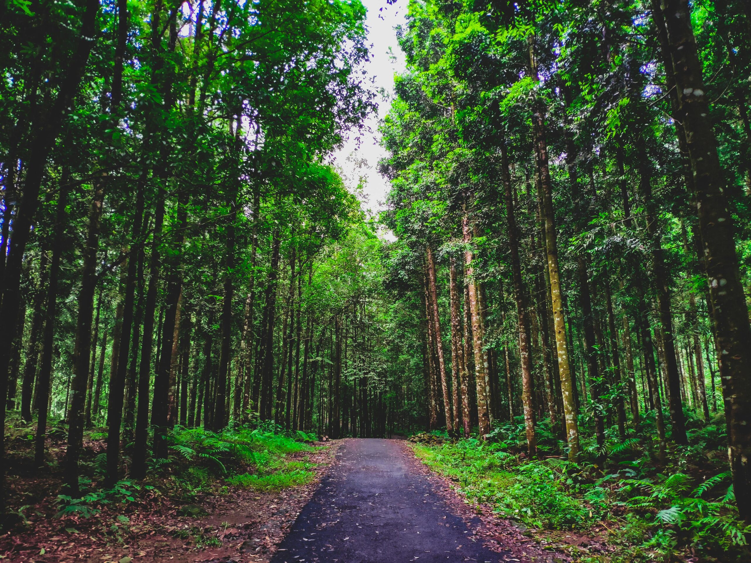 South India Tour Packages